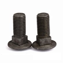 Carriage Bolt2