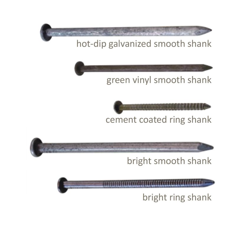 COMMON NAIL