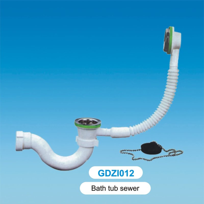 GDZI012