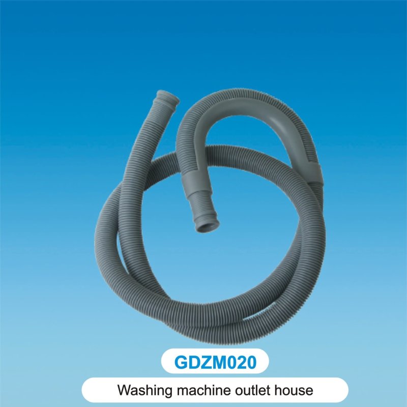 GDZM020