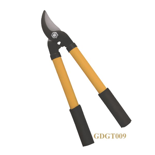 GDGT009