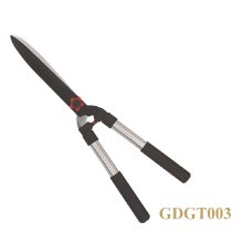 GDGT003
