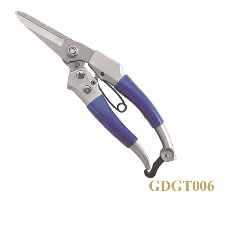GDGT006