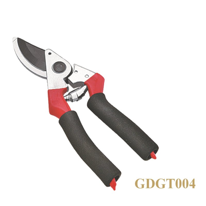 GDGT004