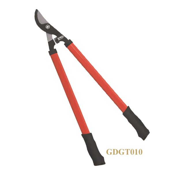 GDGT010