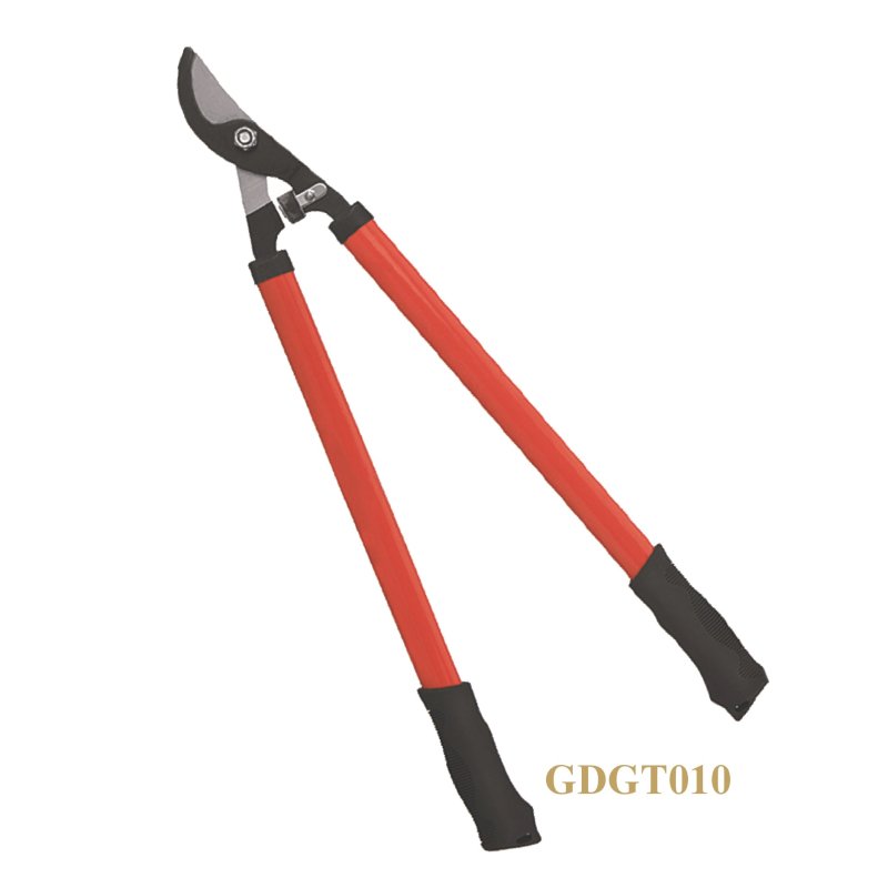 GDGT010