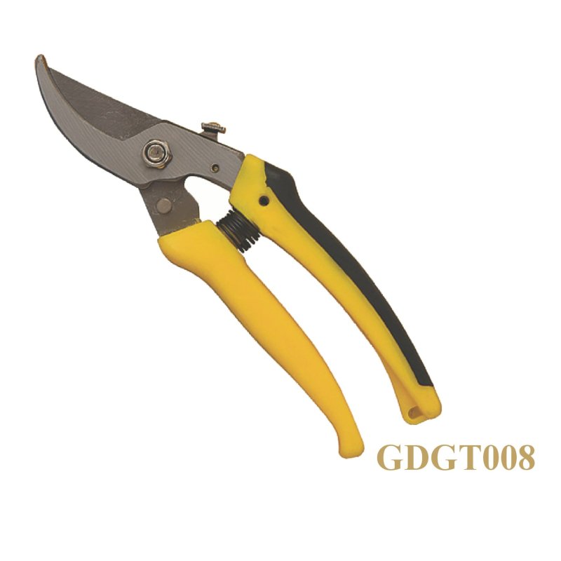 GDGT008