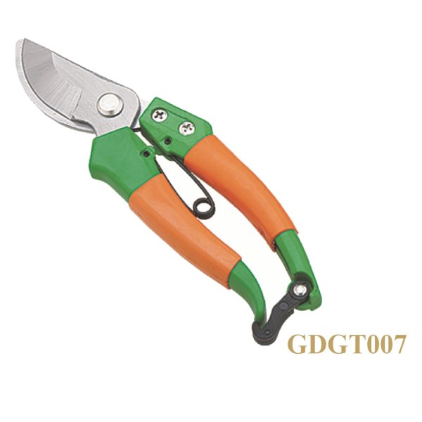 GDGT007