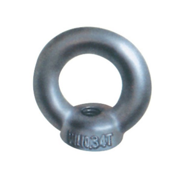 Perno de ojo Jis B1169, Zp