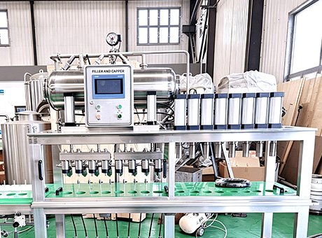 Bottle Rinsing and Filling System