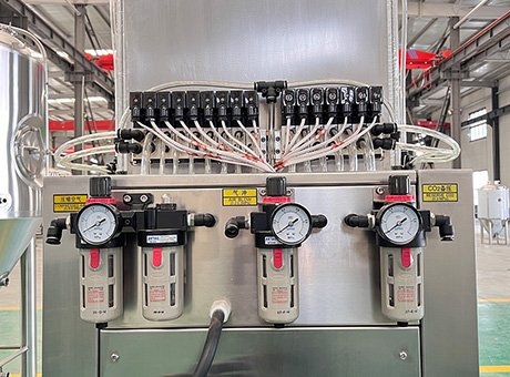 Affordable Single Head Keg Washer