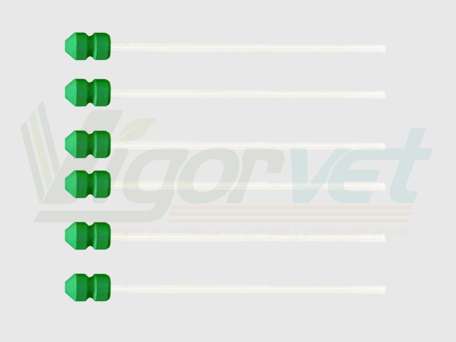 Foam AI catheter for sows