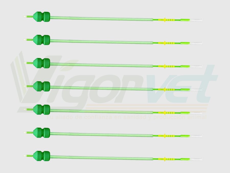 Post-cervical AI catheter for sows
