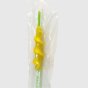 未标题-2_0004_未标题-1_0003_pig insemination catheter with spiral tip