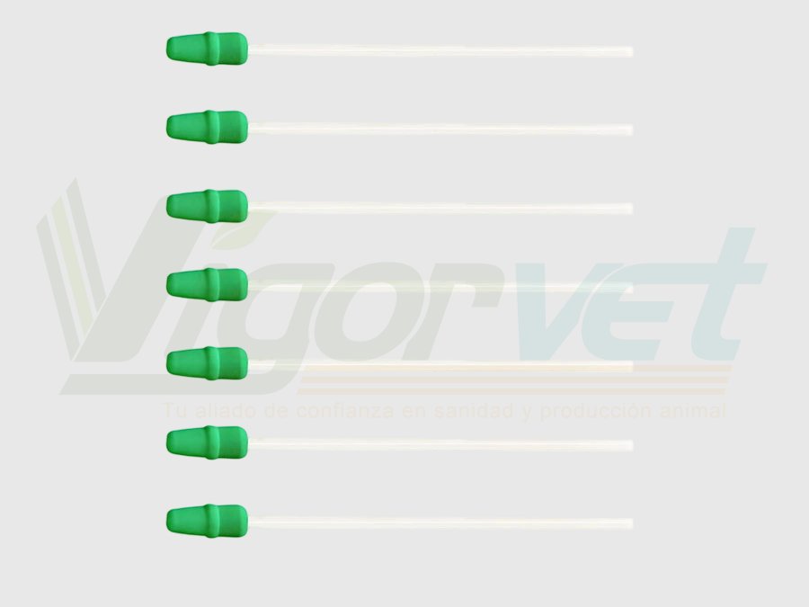 Swine AI catheter for gilts