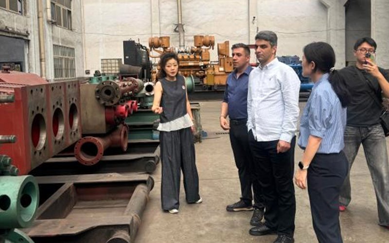Factory Visit Report: Middle East Client Inspection 