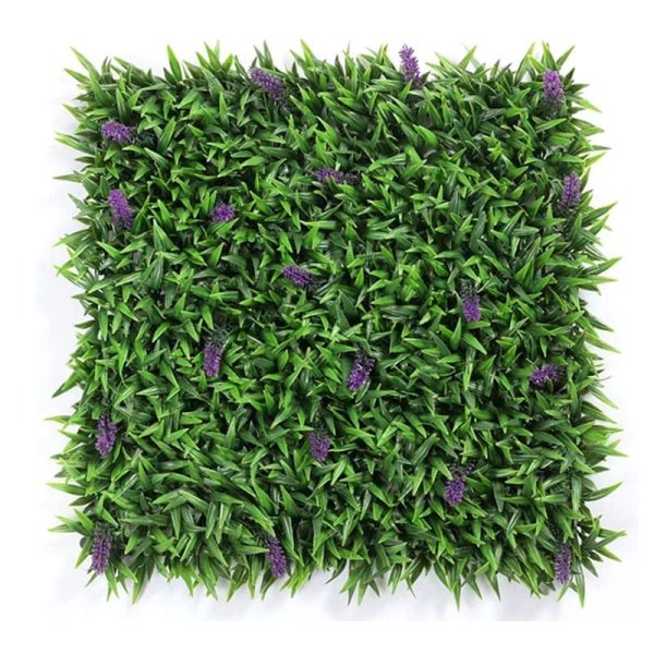 Lavender-XYC