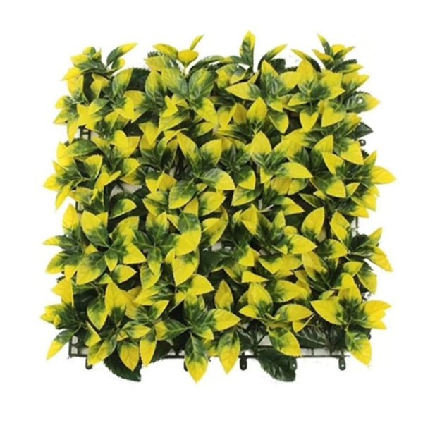 Toothed Yellow Heather-SN-Y