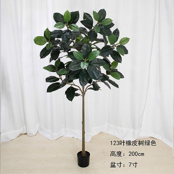 XPSLS001-20005
