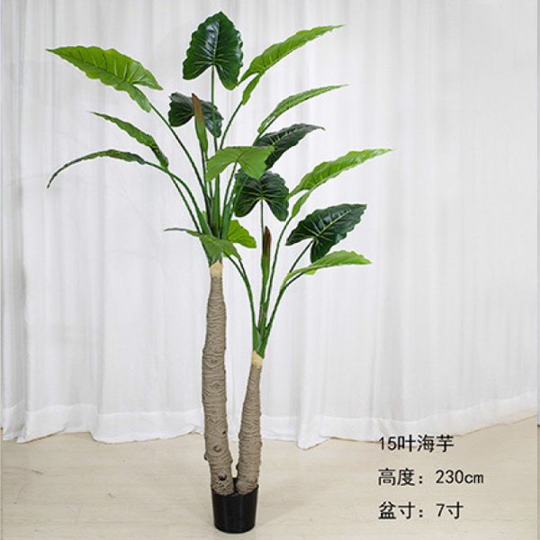 HY001-23006