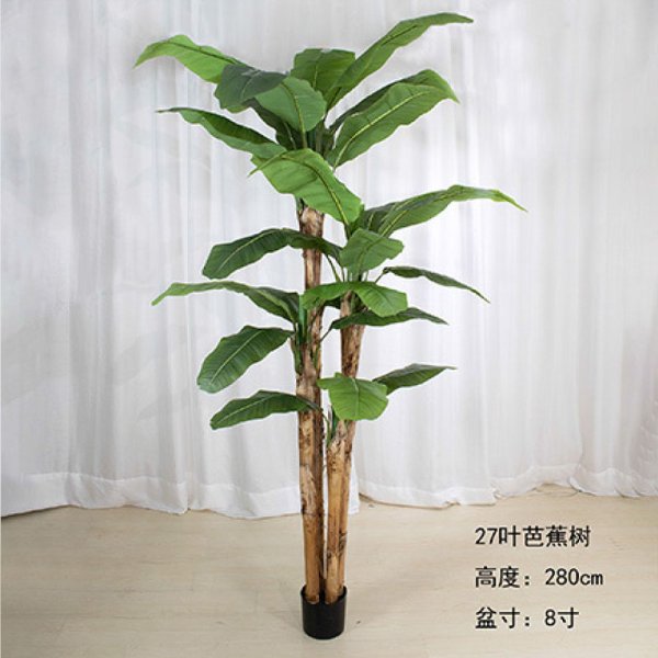 BJS001-28007