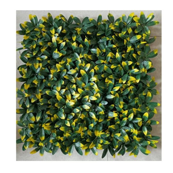 Huang Dujuan-DJ-Y