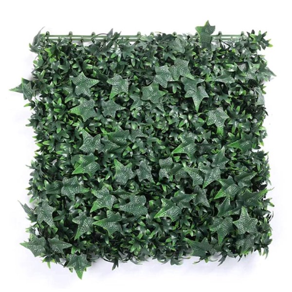 Ivy-CQT