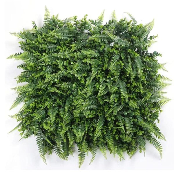Fern Grass-FWC