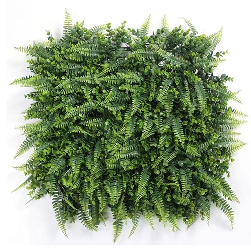 _0032_凤尾草 FWC