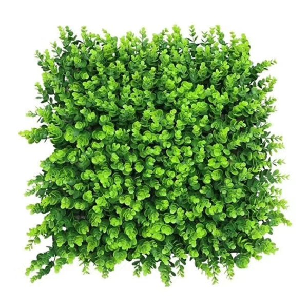 Eucalyptus-YJL