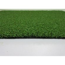 SPORT-GOLF GRASS