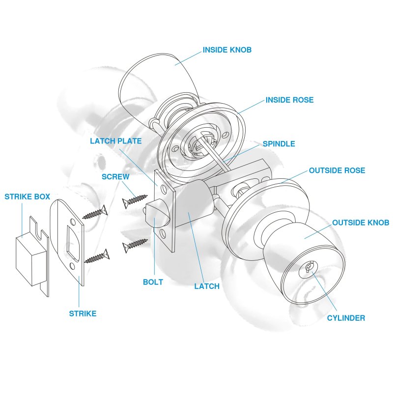TLDL PART SHOWING