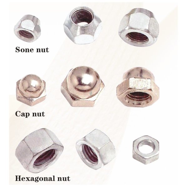 NUT