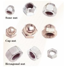 NUT-2