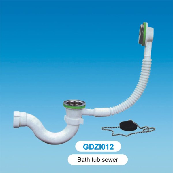 GDZI012