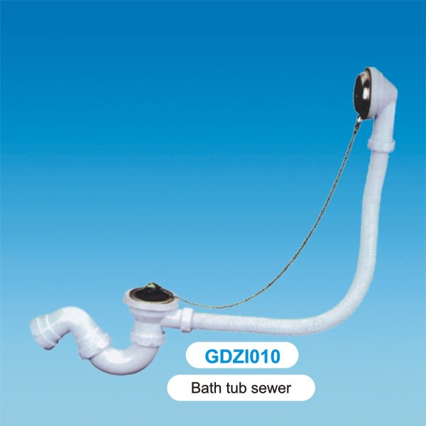GDZI010
