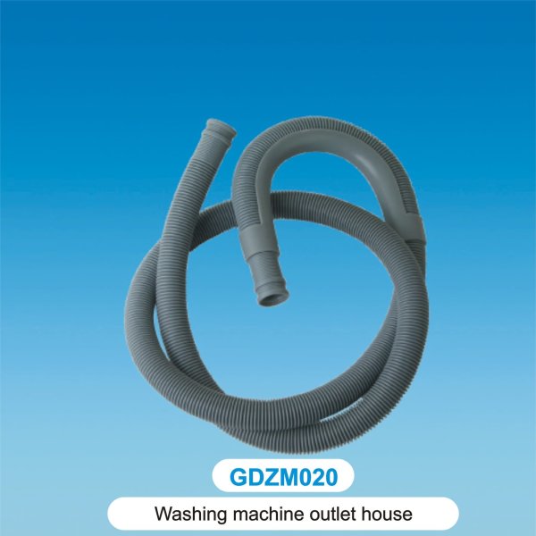 GDZM020