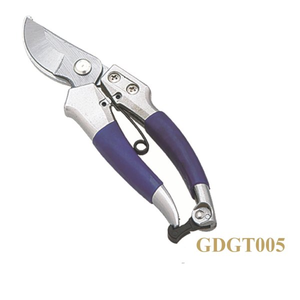 GDGT005