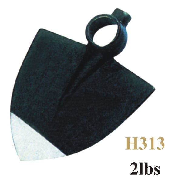 H313