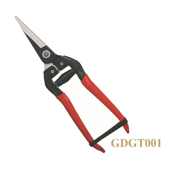 GDGT001
