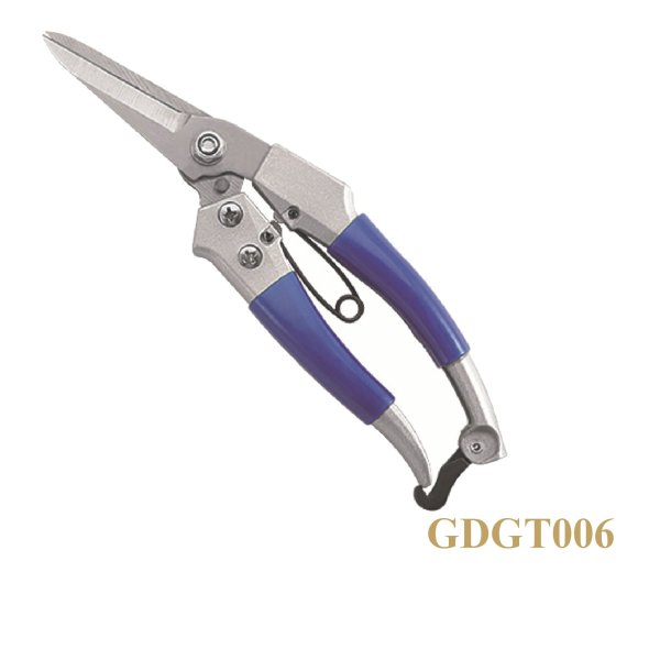 GDGT006