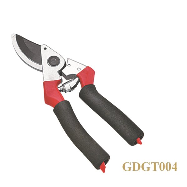 GDGT004