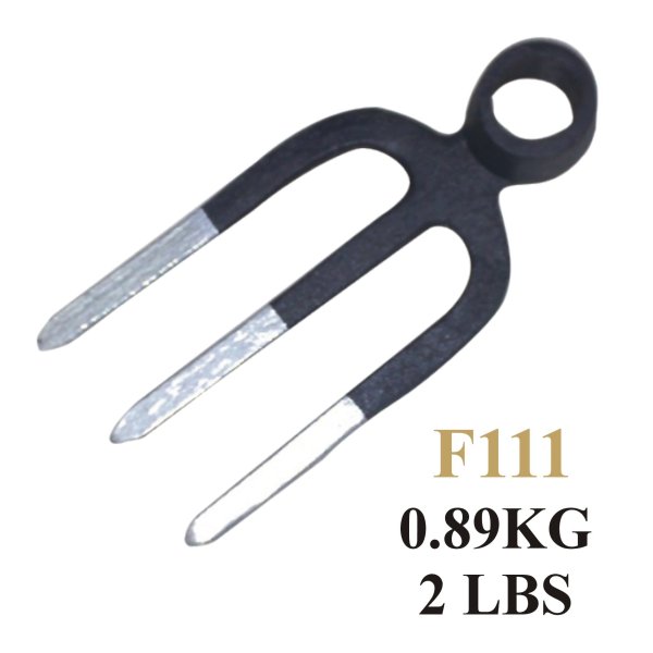 F111