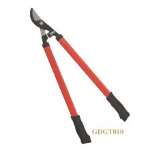 GDGT010