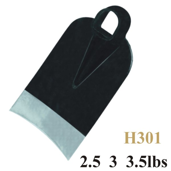 H301