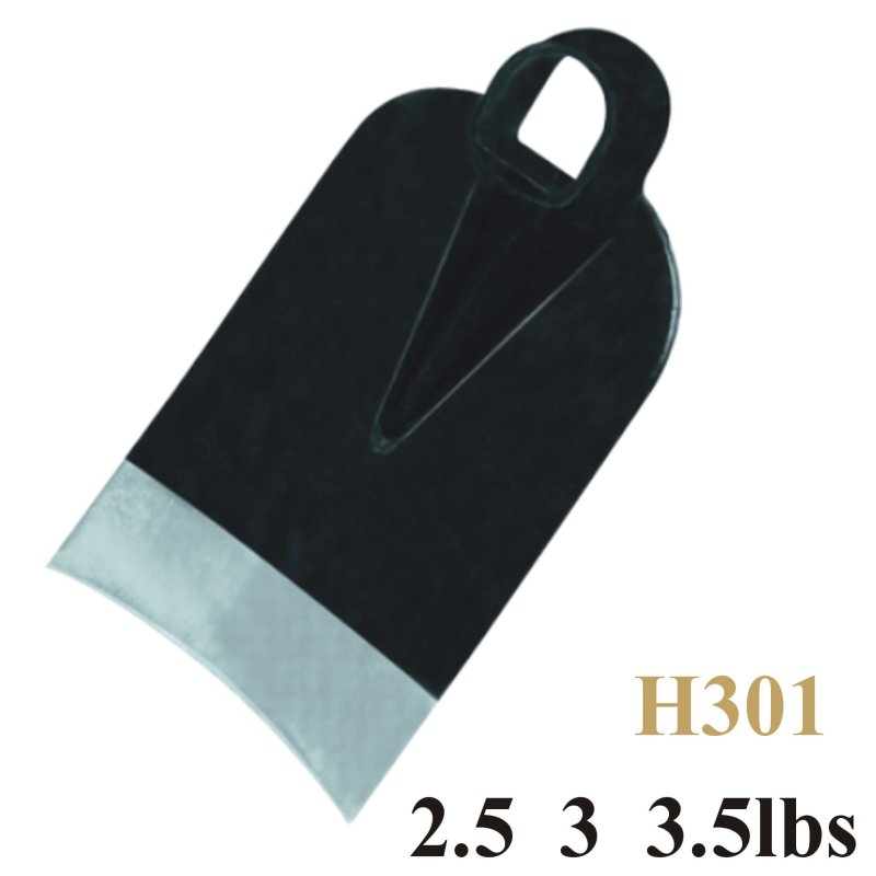 H301