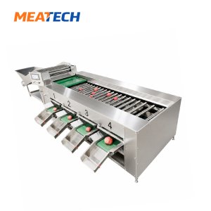 Roller Grading & Sorting Machine