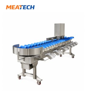 Automatic Tray Weight Grading Machine & Weight Sorter