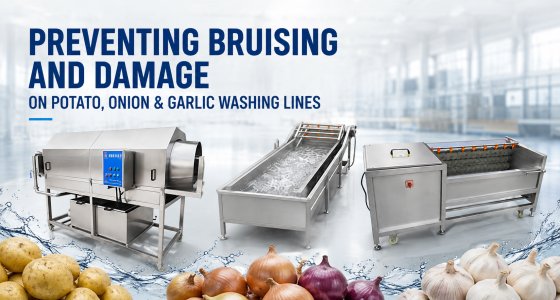 Preventing Bruising and Damage on Potato, Onion & Garlic Washing Lines