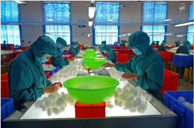 Vermicelli Factory